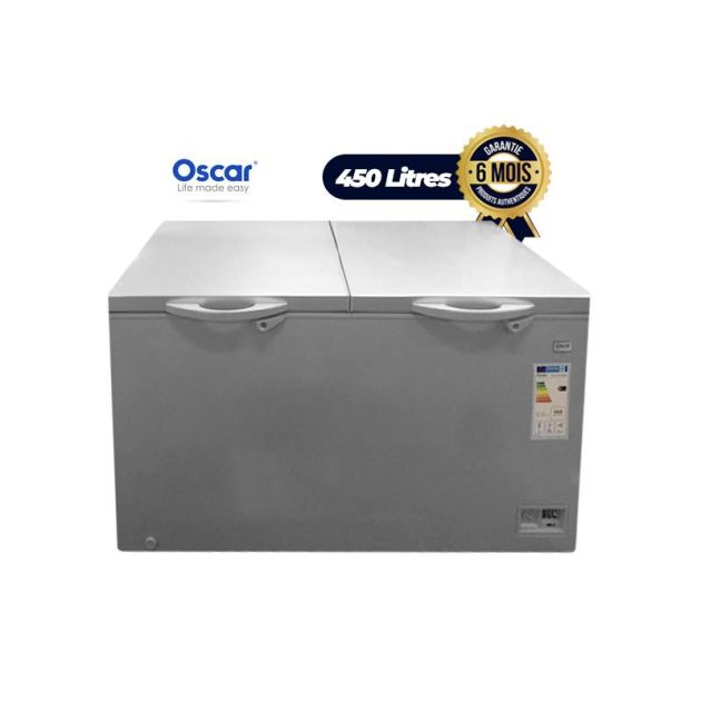 Congélateur Oscar OSC 550